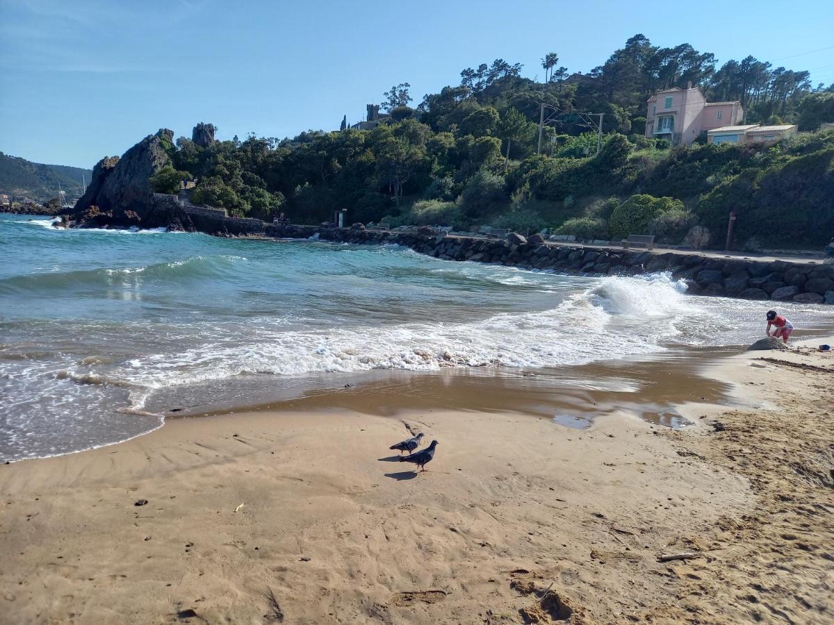 Villa Malibu Mandelieu Εξωτερικό φωτογραφία